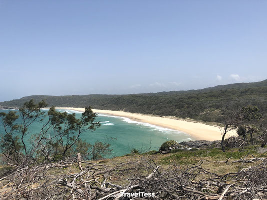 Noosa Beach Walk