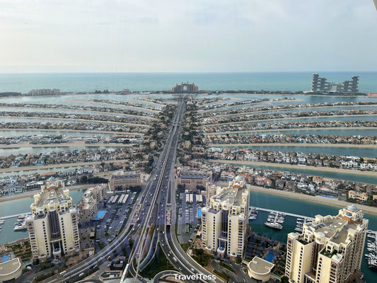 The View at The Palm