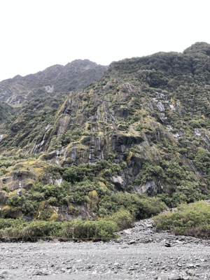 Franz Josef Glacier rotsen