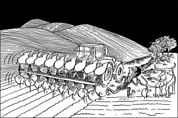 Großflächen in der Landwirtschaft _ Monokulturen