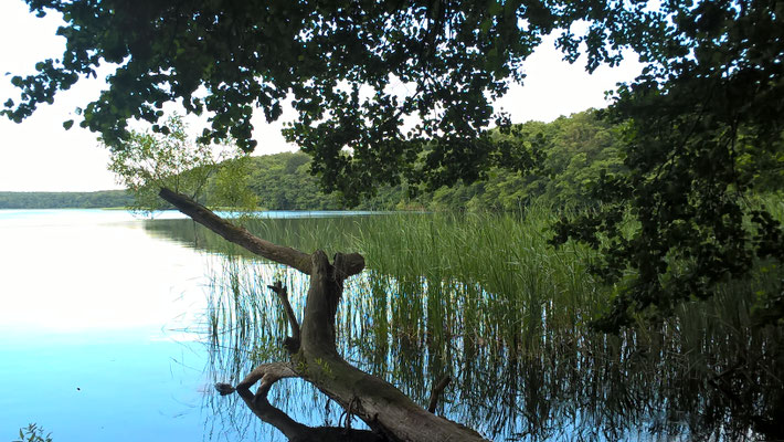 am Carvitzer See
