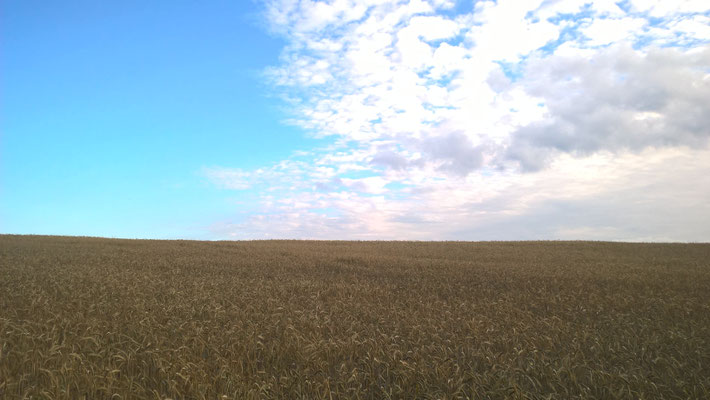 Sommer 2018...