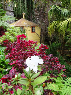 Mystic Garden auf Monte