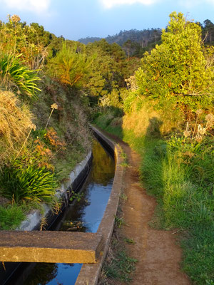 Rückweg auf einer Höhe entlang einer Levada