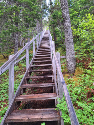 Alexander Murray Hiking Trail
