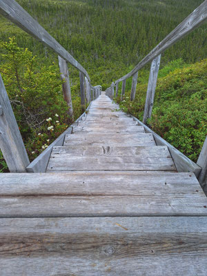 Alexander Murray Hiking Trail