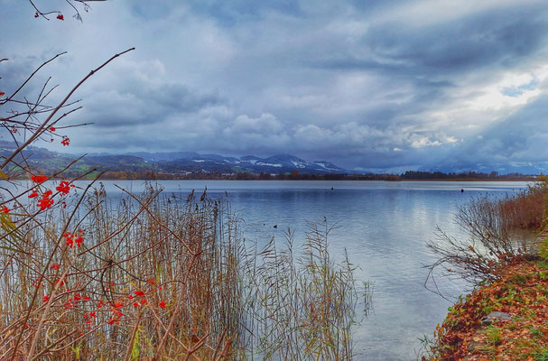 Pfäffikersee