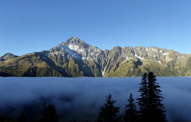 hallo ihr Nebelkrähen da unten