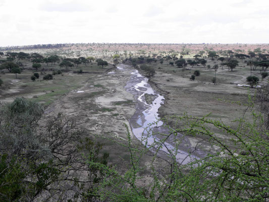 Aussicht vom Camp auf den Tarangire