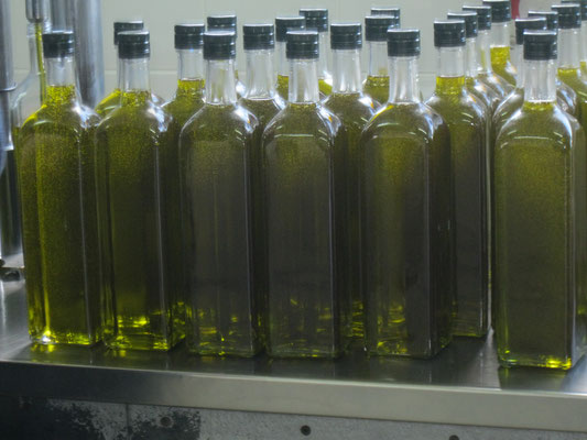 frisches Olivenöl in vielen Flaschen abgefüllt steht auf einem Tisch