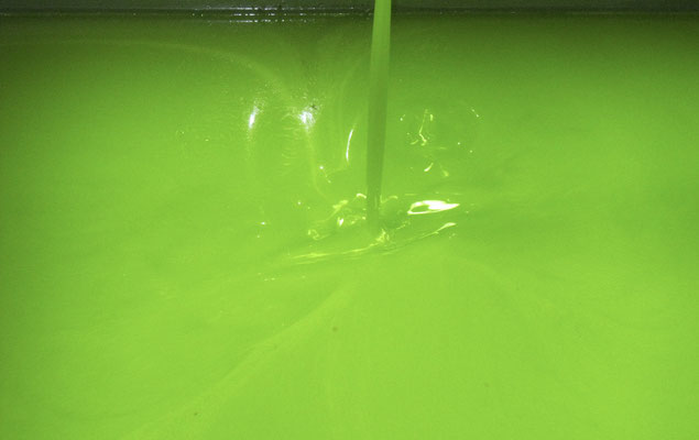 frisches grünes Olivenöl  in einem großen Behälter