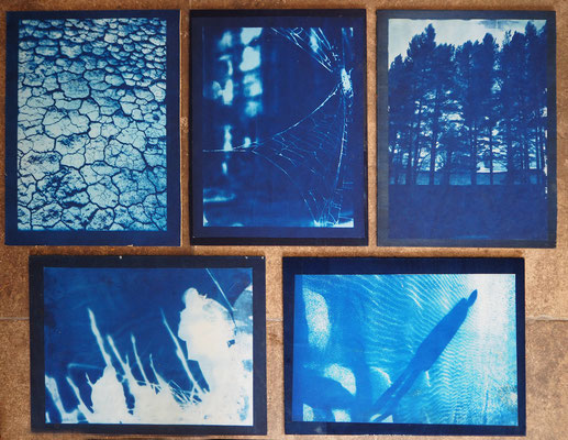 cyanotypes sur supports bois