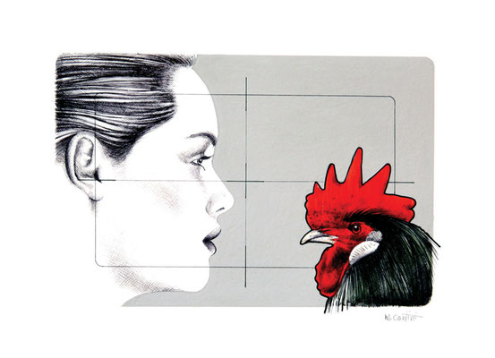 IL GALLO