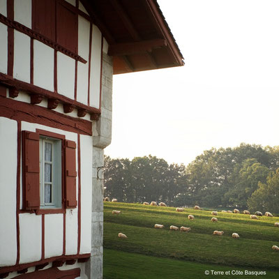 photo vacances pays basque