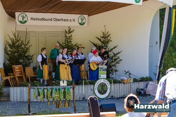 Die Lerbachtaler    BILD VON HARZWALD FOTOGRAF
