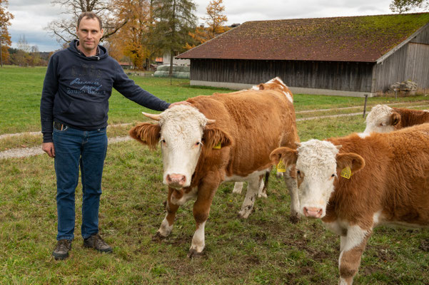 Mastbetrieb Josef und Ingrid Weingand mit Biokalbochsen