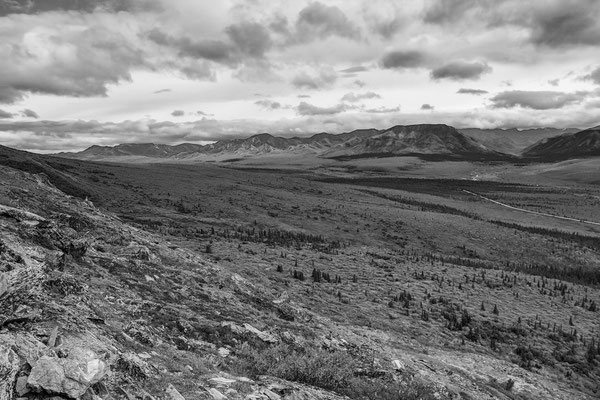 Denali Nationalpark Alaska - 5