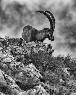 Blackmountainswhite - schwarzweiß (monochrome) Bilder aus den Bergen der Welt - 40