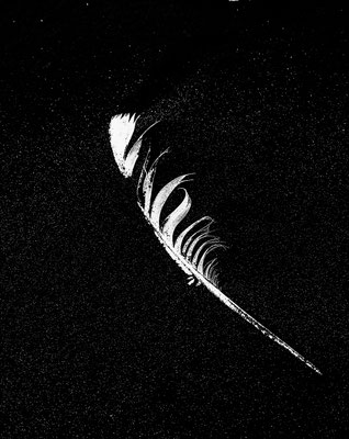 Blackmountainswhite - schwarzweiß (monochrome) Bilder aus den Bergen der Welt - 7