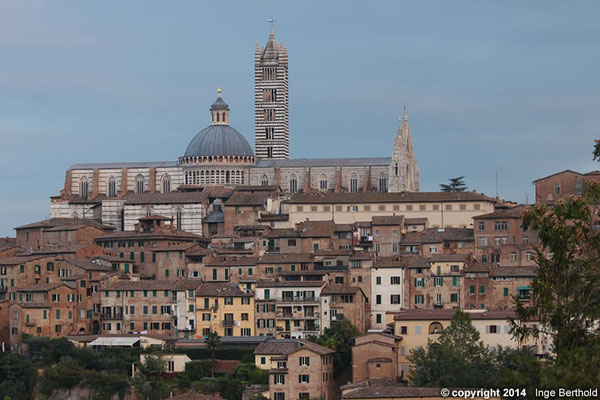 Siena