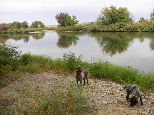 Back of our ranch on the Payette River. 