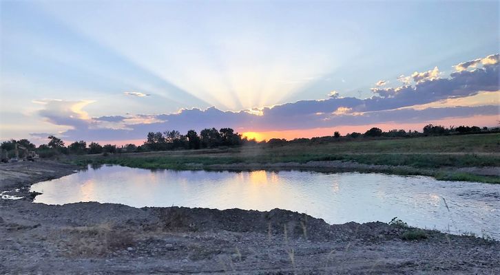 Sunset on our pond.