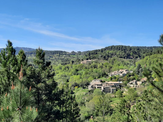 Le hameau du Fayet au coeur de la pinède