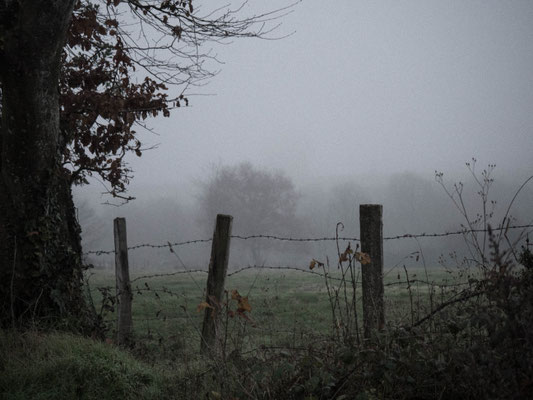 Campagne en hiver