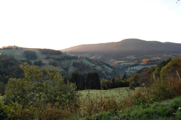 Le Renard perché, La Renaud Rautsch, grand gite, Alsace, Haut Rhin, proche de Colmar, Le Bonhomme, 68650, Col des Bagenelles, charme, nature, deconnexion, relaxation, vue, écologie, méditation, éco-lieu, yoga