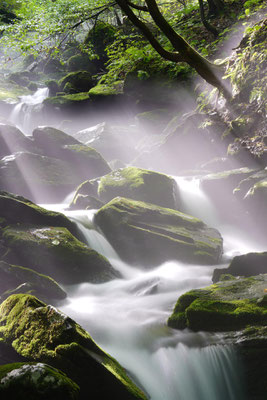 Le Renard perché, La Renaud Rautsch, grand gite, Alsace, Haut Rhin, proche de Colmar, Le Bonhomme, 68650, Col des Bagenelles, charme, nature, deconnexion, relaxation, vue, écologie, méditation, éco-lieu, yoga