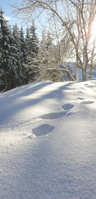 Le Renard perché, La Renaud Rautsch, grand gite, Alsace, Haut Rhin, proche de Colmar, Le Bonhomme, 68650, Col des Bagenelles, charme, nature, deconnexion, relaxation, vue, écologie, méditation, éco-lieu, yoga