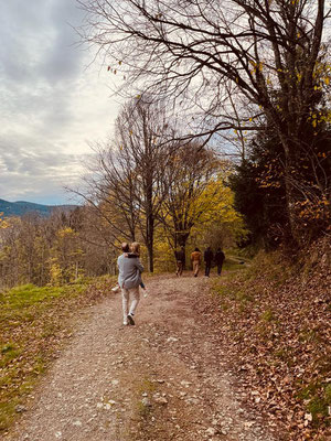 Le Renard perché, La Renaud Rautsch, grand gite, Alsace, Haut Rhin, proche de Colmar, Le Bonhomme, 68650, Col des Bagenelles, charme, nature, deconnexion, relaxation, vue, écologie, méditation, éco-lieu, yoga