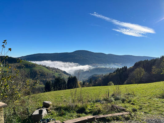 Le Renard perché, La Renaud Rautsch, grand gite, Alsace, Haut Rhin, proche de Colmar, Le Bonhomme, 68650, Col des Bagenelles, charme, nature, deconnexion, relaxation, vue, écologie, méditation, éco-lieu, yoga