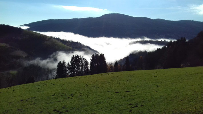 Le Renard perché, La Renaud Rautsch, grand gite, Alsace, Haut Rhin, proche de Colmar, Le Bonhomme, 68650, Col des Bagenelles, charme, nature, deconnexion, relaxation, vue, écologie, méditation, éco-lieu, yoga