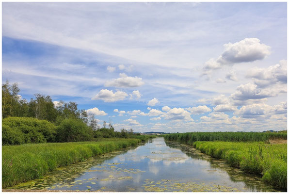 Federseekanal 0210