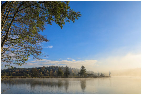 Uferlandschaft Schwackenreuter Seen 8856