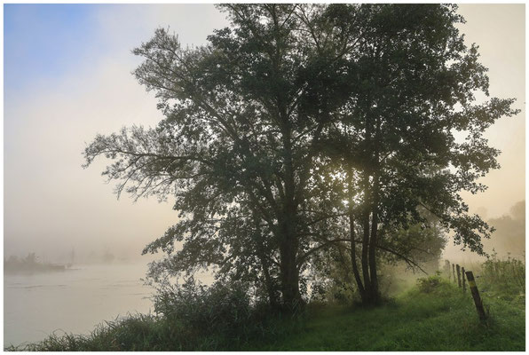 Uferlandschaft Schwackenreuter Seen 6910