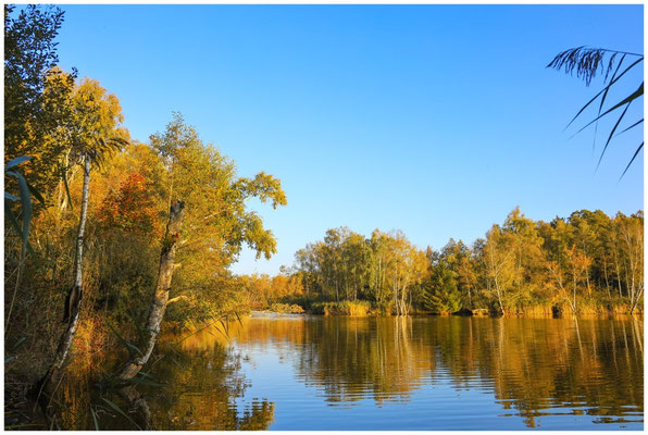 Uferlandschaft Nillsee 8330