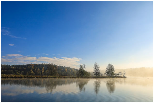 Uferlandschaft Schwackenreuter Seen 8859