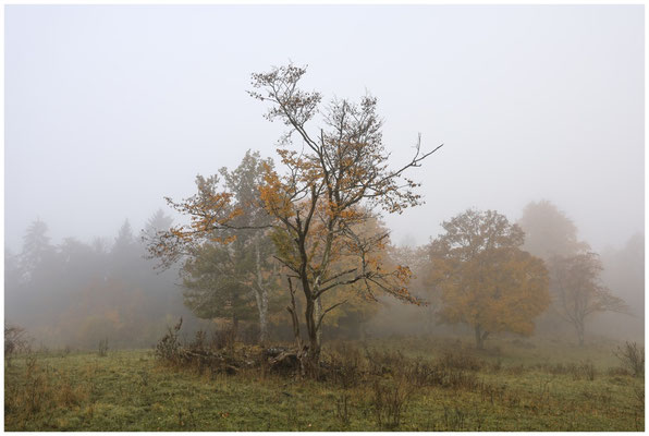 Landschaft im NSG Stiegelesfelsen 8504