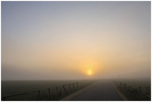 Untergehende Sonne bei Neuhausen ob Eck 3267