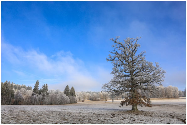 Winterlandschaft Irndorfer Hardt 9520
