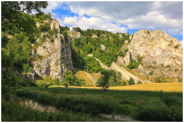 Die Donau und Stiegelesfels 5988