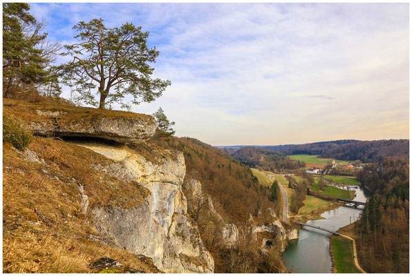 Der Teufelslochfelsen mit Donau 9545