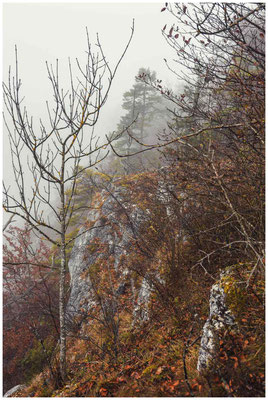 Blick vom Stiegelesfels 0142