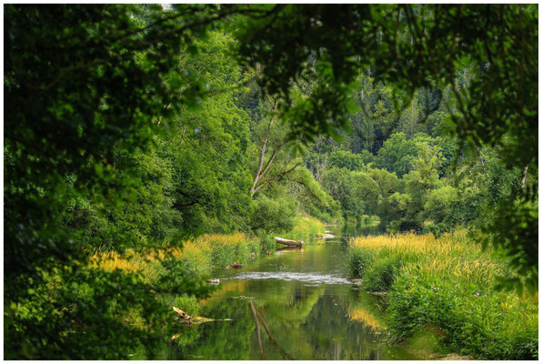 Die Donau bei Fridingen 6036