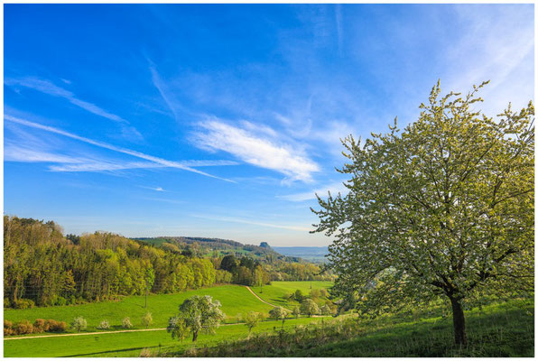 Blick in den Hegau mit Hohenkrähen 0231