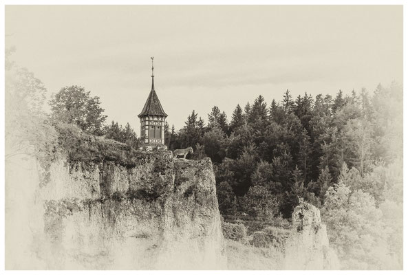 Esel in luftiger Höhe vor dem Kirchturm St. Anna in Unterschmeien 4305