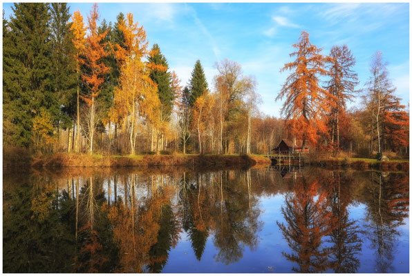 Herbstliche Bäume mit "König Ludwig" Jagdhütte 9268