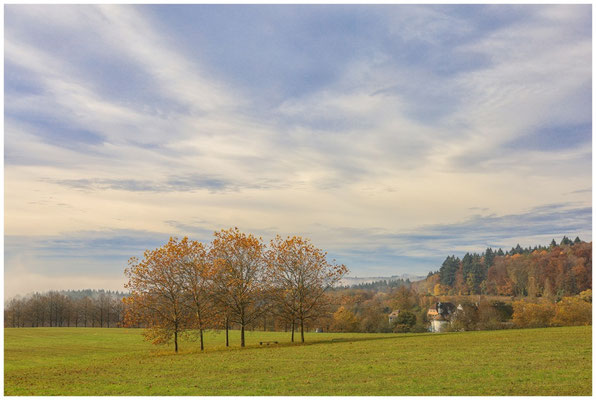 Herbstliche Landschaft mit Hofgut Dauenberg 8949